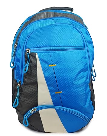Shaina Bags Fabric 30 Ltr Blue School Backpack