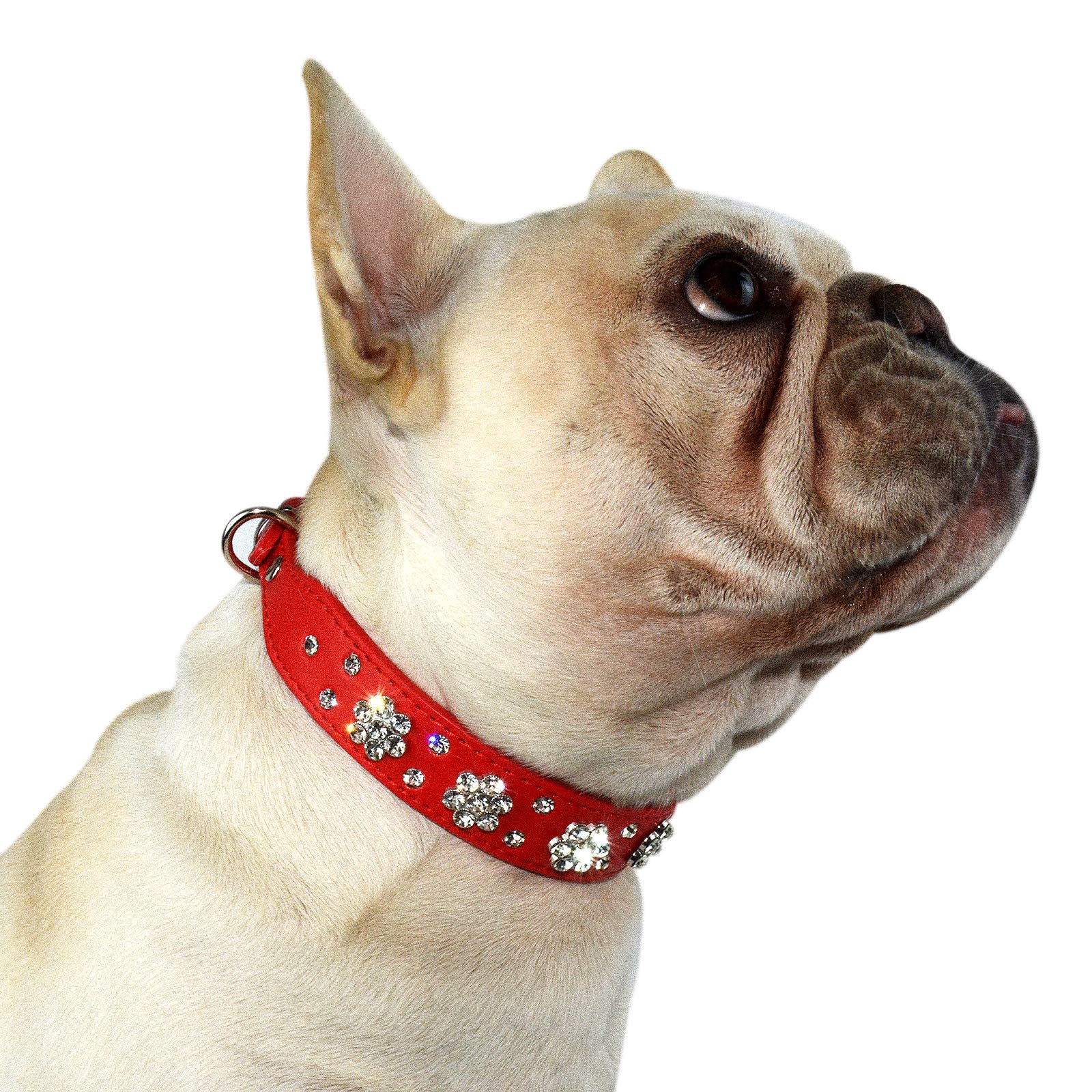 Hifrenchies Cute Rhinestone Flower Pattern Studded Dog Collars, PU Leather Bling Crystal Diamonds Collar for Frenchie Bulldog/Small Medium Dog Cat(S,RED)
