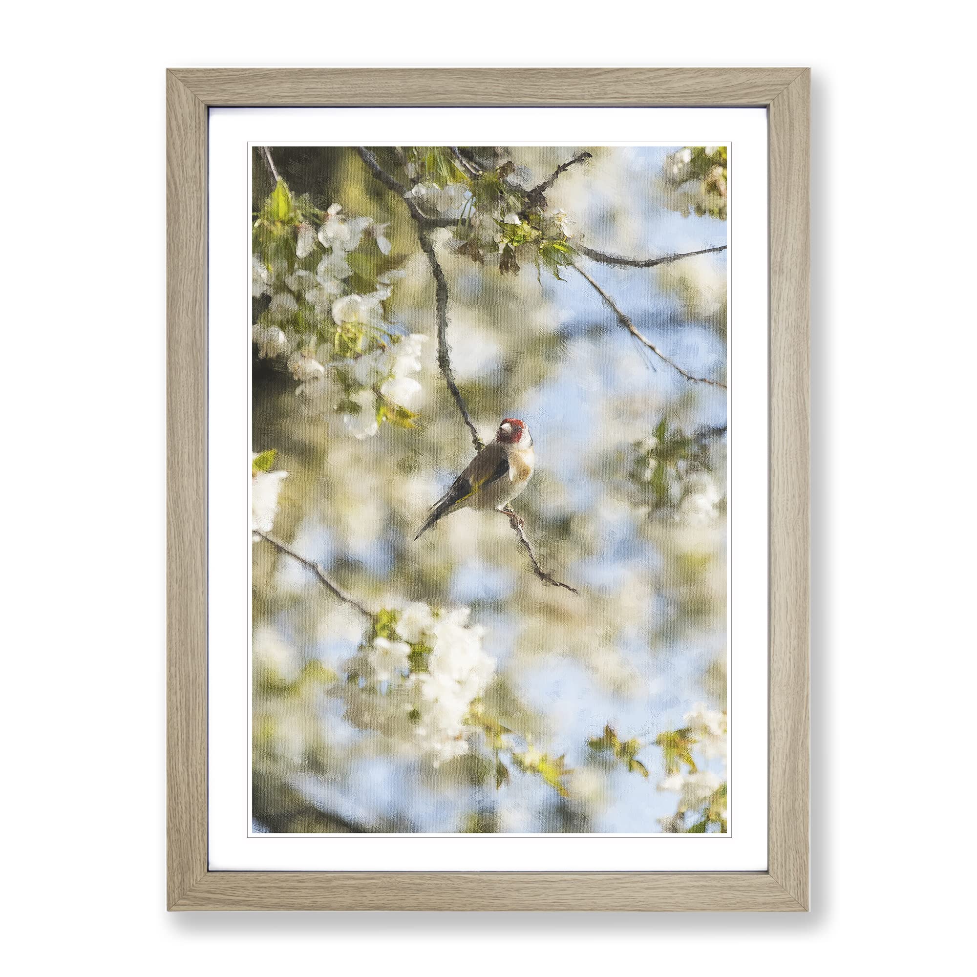 Goldfinch Bird In A Cherry Tree Painting Modern Framed Wall Art Print, Ready to Hang Picture for Living Room Bedroom Home Office Décor, Oak A4 (34 x 25 cm)