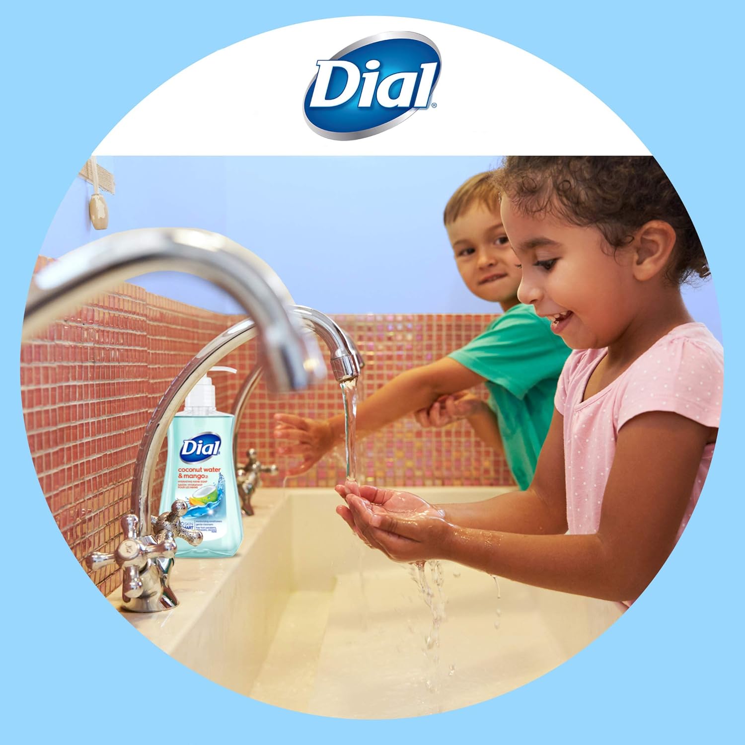 Dial Liquid Hand Soap, Coconut Water & Mango, 7.5 Fl Oz : Beauty