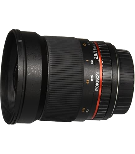 Amazon.com : Tokina AT-X 116 PRO DX-II 11-16mm f/2.8 Lens