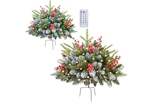 Set of 2 18 Inch Lighted Outdoor Christmas Tree with Remote, Timer, Multi-Color Lights, Battery Operated Pre-lit Frosted Path