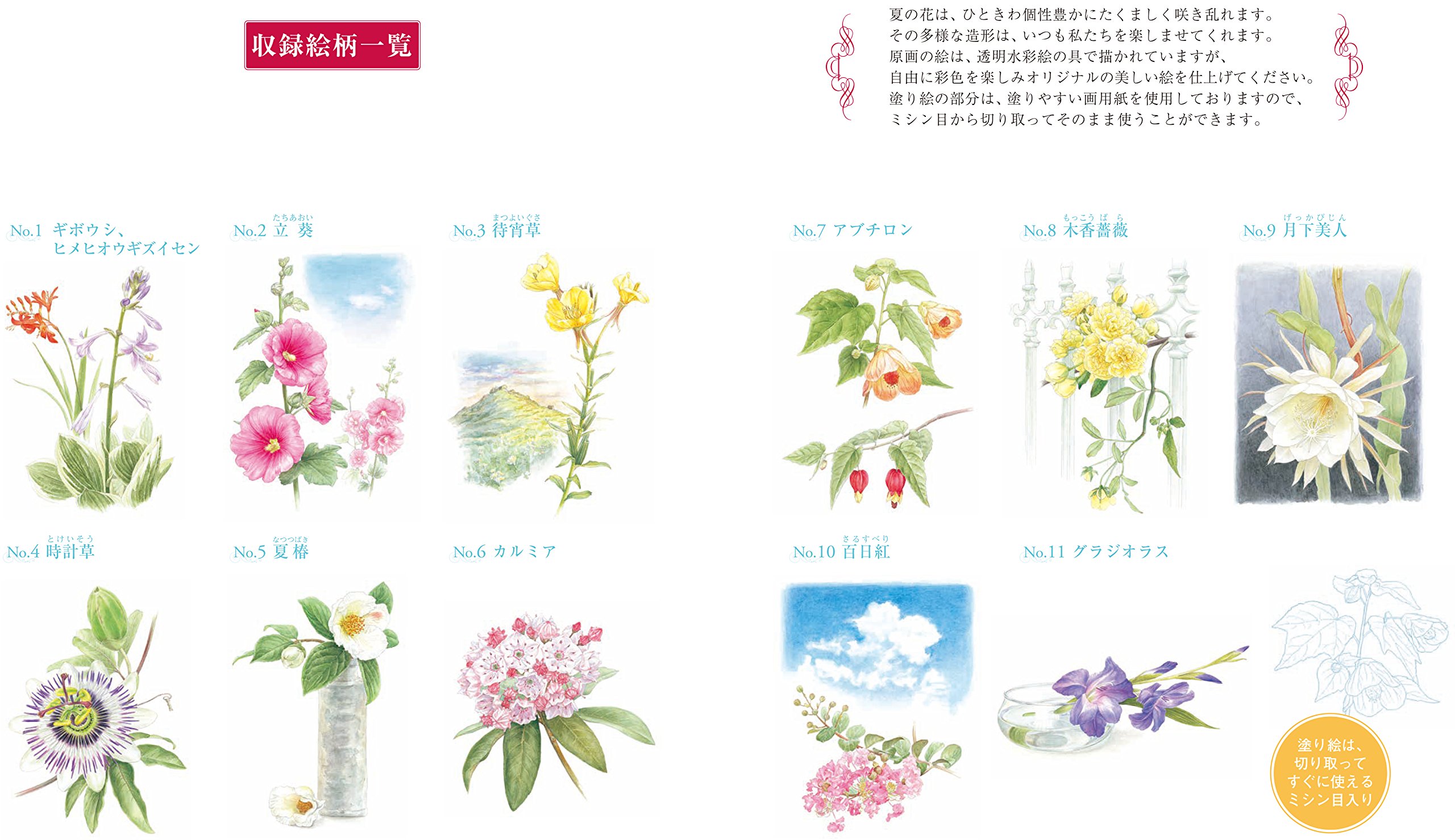 やさしい大人の塗り絵 夏に咲く花編 Amazon Com Books やさしい大人の塗り絵 夏に咲く花編 Amazon Com Books