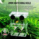 boxtech Aquarium Hatchery Breeding Box Aquarium Isolator 7.9x6.9x10.8 cm White view 6