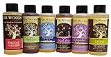 Dr. Woods Travel Trial Size Bottles Castile Body