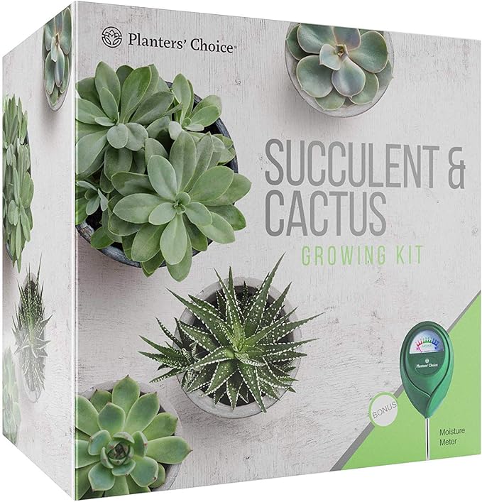 Succulent & Cactus Growing Kit with Moisture Meter Grow