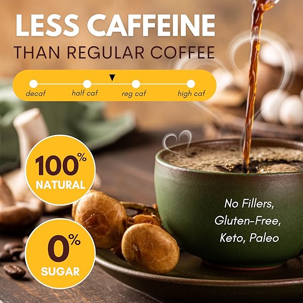 400,000MG MUSHROOM COFFEE 10-IN-1 LOW CAFFEINE, 100% ARABICA COFFEE SUPERFOOD – LION’S MANE, REISHI, CHAGA & COCOA – NATURAL ENERGY & FOCUS BOOST, IMMUNE SUPPORT, JITTERS FREE, SUGAR FREE (7OZ)
