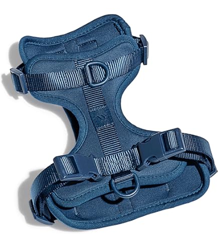 Amazon.com : Wild One Harness 2.0 - Small - Blue : Pet Supplies