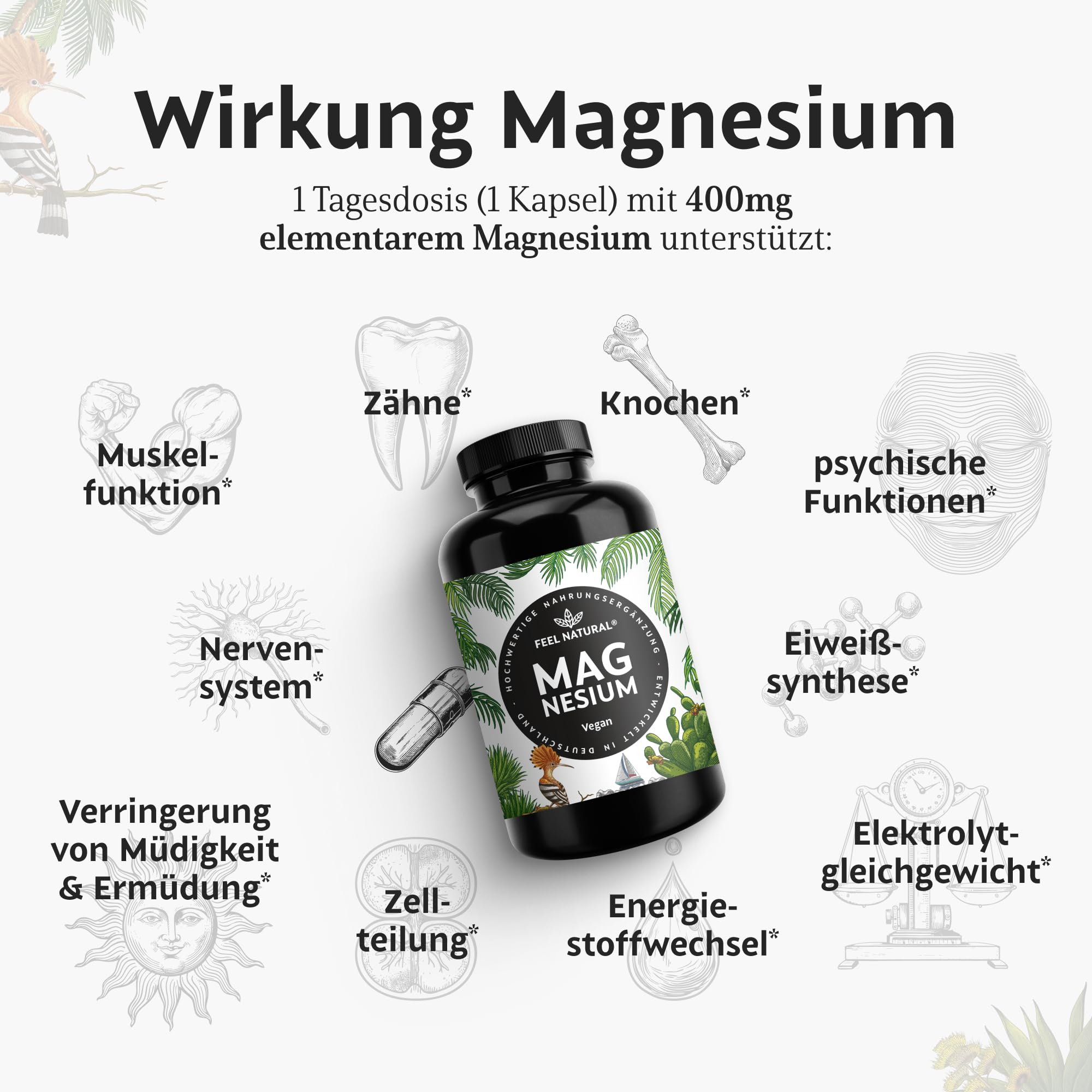 Magnesium hochdosiert Kapseln - 365 Stück (Jahresvorrat) - 664mg je Kapsel, davon 4 00mg elementares Magnesium - höherer Gehalt als andere Magnesiumformen - Laborgeprüft & Vegan 2