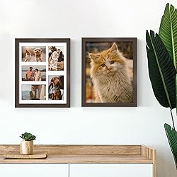 DUENPY 11x14 Collage Picture Frame, 4x6 Collage