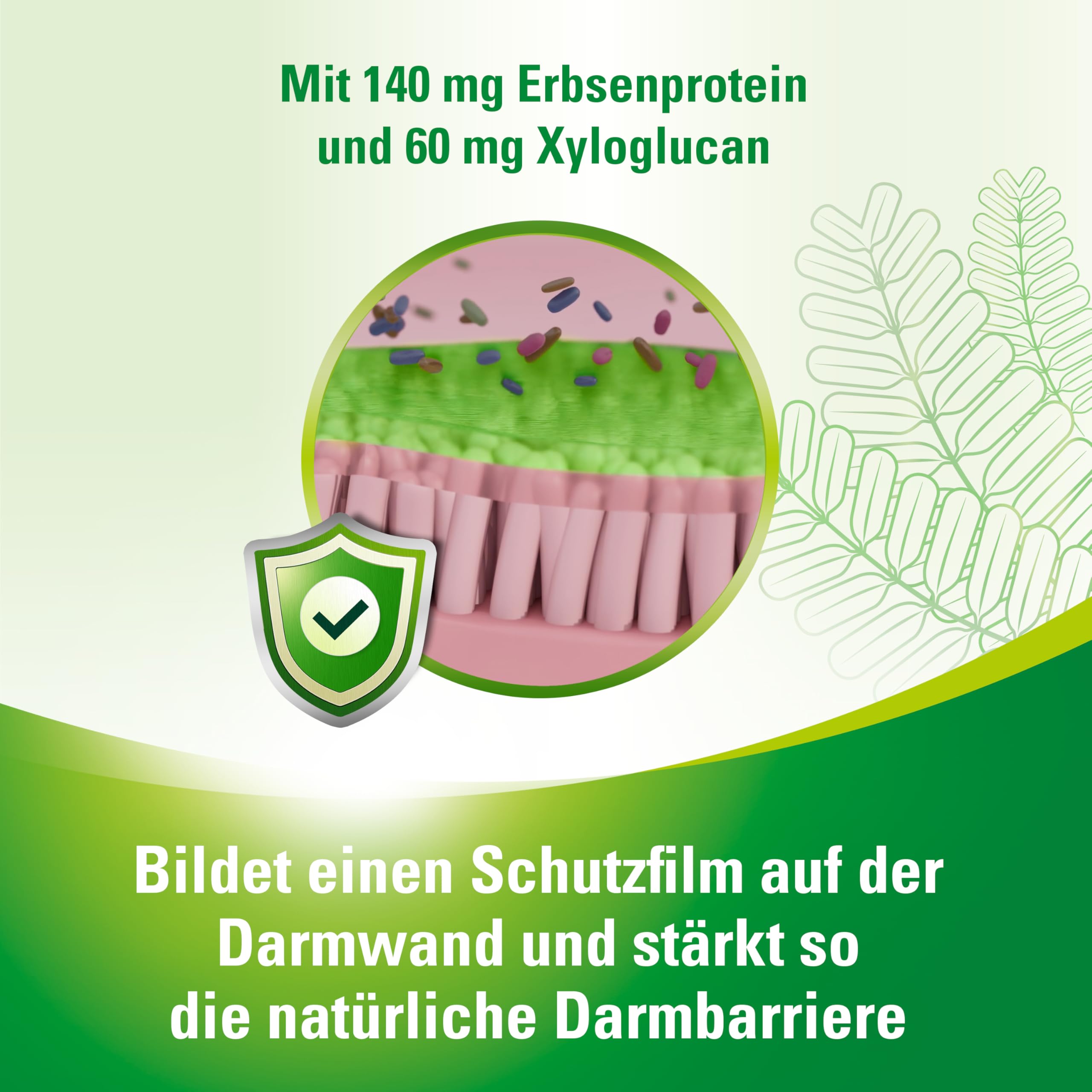 Lefaxan® protect | bei wiederkehrenden funktionellen Blähungen mit Blähbauch und gasbedingten Bauchschmerzen | für die Stärkung der natürlichen Darmbarriere | 15 Kapseln 4