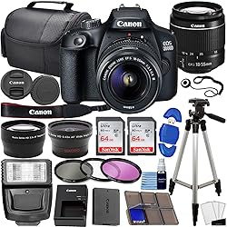 Canon EOS 2000D / Rebel T7 DSLR Camera w/EF-S