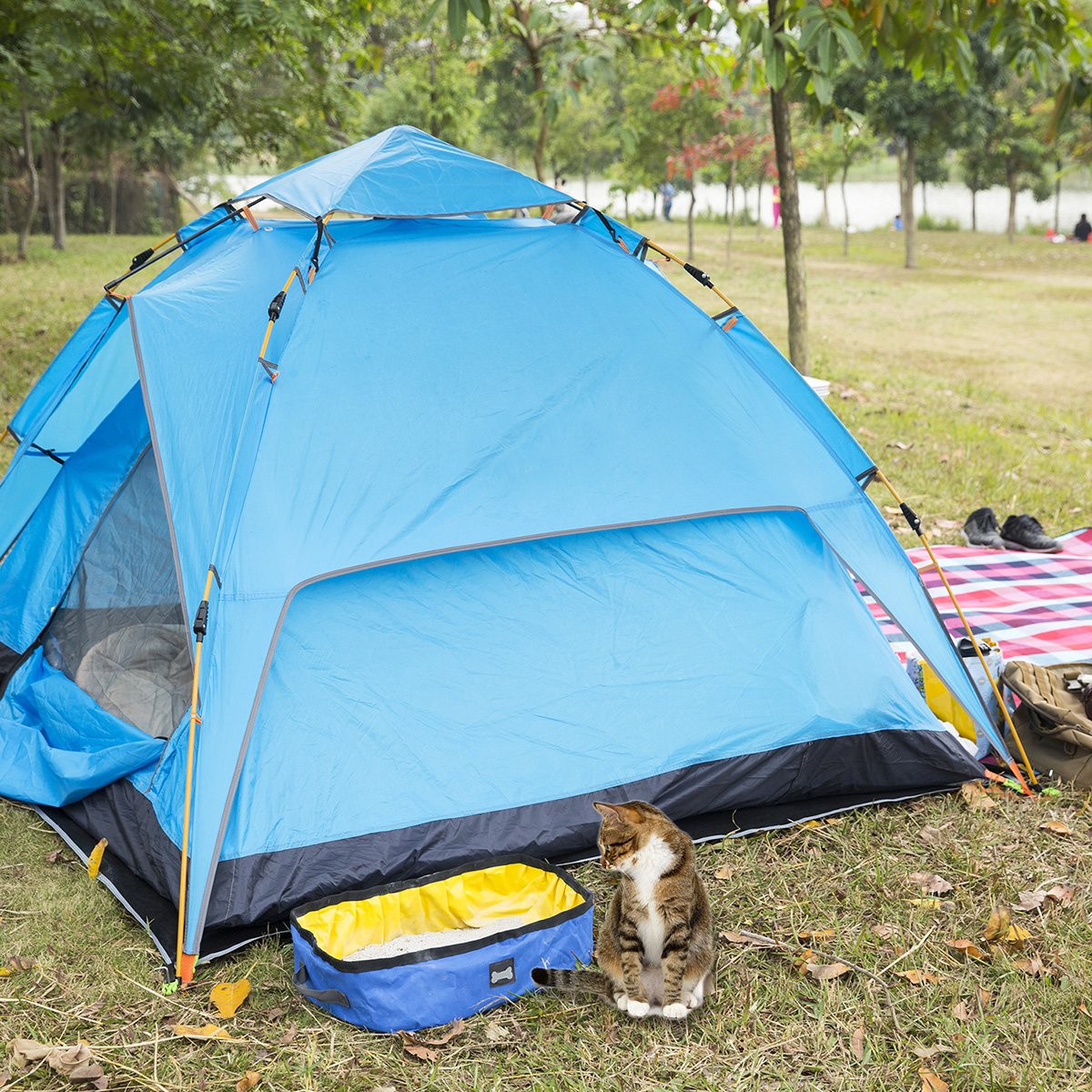 Outdoor Cat Litter Tray, Square Covered Kitten Litter Box, Collapsible