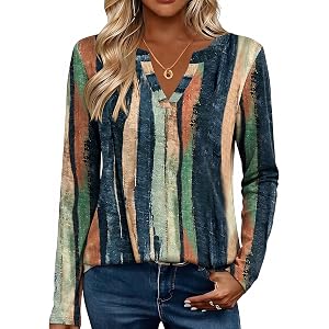 Zeagoo Womens Tops Long Sleeve V Neck Tee Shirts Cute Dressy Casual Clothing Business Work Blouse | Business Work Blouse,Basi
