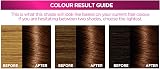 L'Oreal Paris Excellence Crème 5.3 Natural Golden Brown 3 Pack view 3