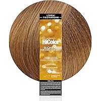 【本日のみ値下げ】The highlights overブラウン Amazon.com: L'OREAL TECHNIQUE HiColor Violet & Black Shades