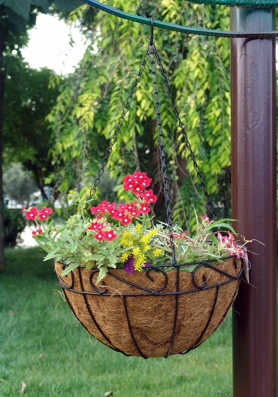 Amagabeli 4 Pack Metal Hanging Planter Baskets 10 Inch for plants Outdoor With Coco Coir Liner Round Wire Flower Pots Plant Holder Chain Porch Decor Hanger Garden Decoration Indoor Watering Black: Home & Kitchen