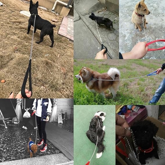 chain dog leash 6ft