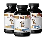 dogs immune system booster - IMMUNE SUPPORT AND