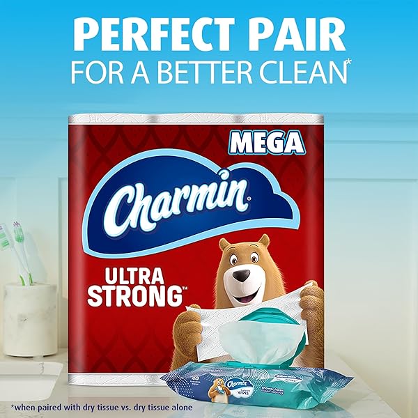 CHARMIN FLUSHABLE WIPES, 160 TOTAL WIPES (4 PACKS OF 40)