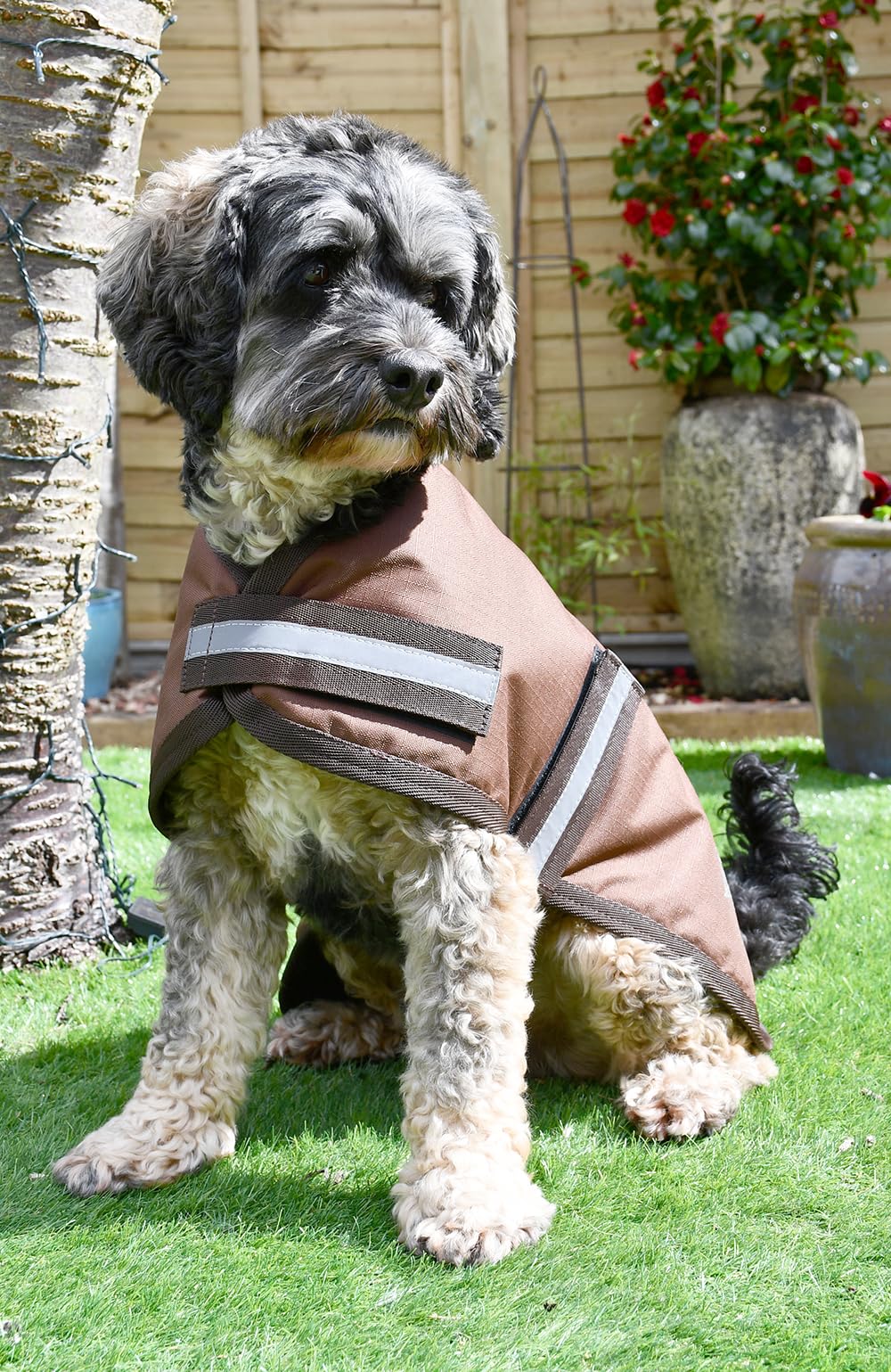 Rhinegold Waterproof Dog Coat-18(45cm)-Brown