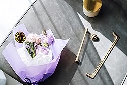 Goo-Ki Brushed Brass Zinc Alloy Cabinet Pull,Modern