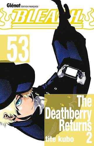 Download Bleach - Tome 53: The deathberry Returns 2 PDF