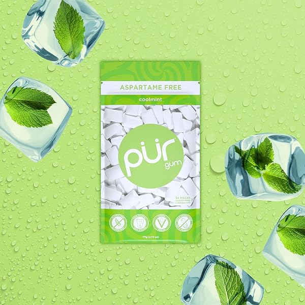 PUR GUM | ASPARTAME FREE CHEWING GUM | 100% XYLITOL | NATURAL COOLMINT FLAVORED GUM, 55 PIECES (PACK OF 1)