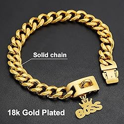 Gold Dog Collar Chain with Pendant Tag,Stainless