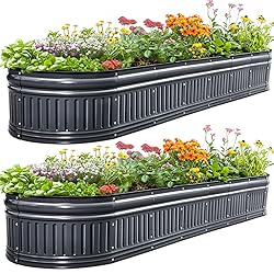 KING BIRD Raised Garden Bed Kit 2025 Upgraded