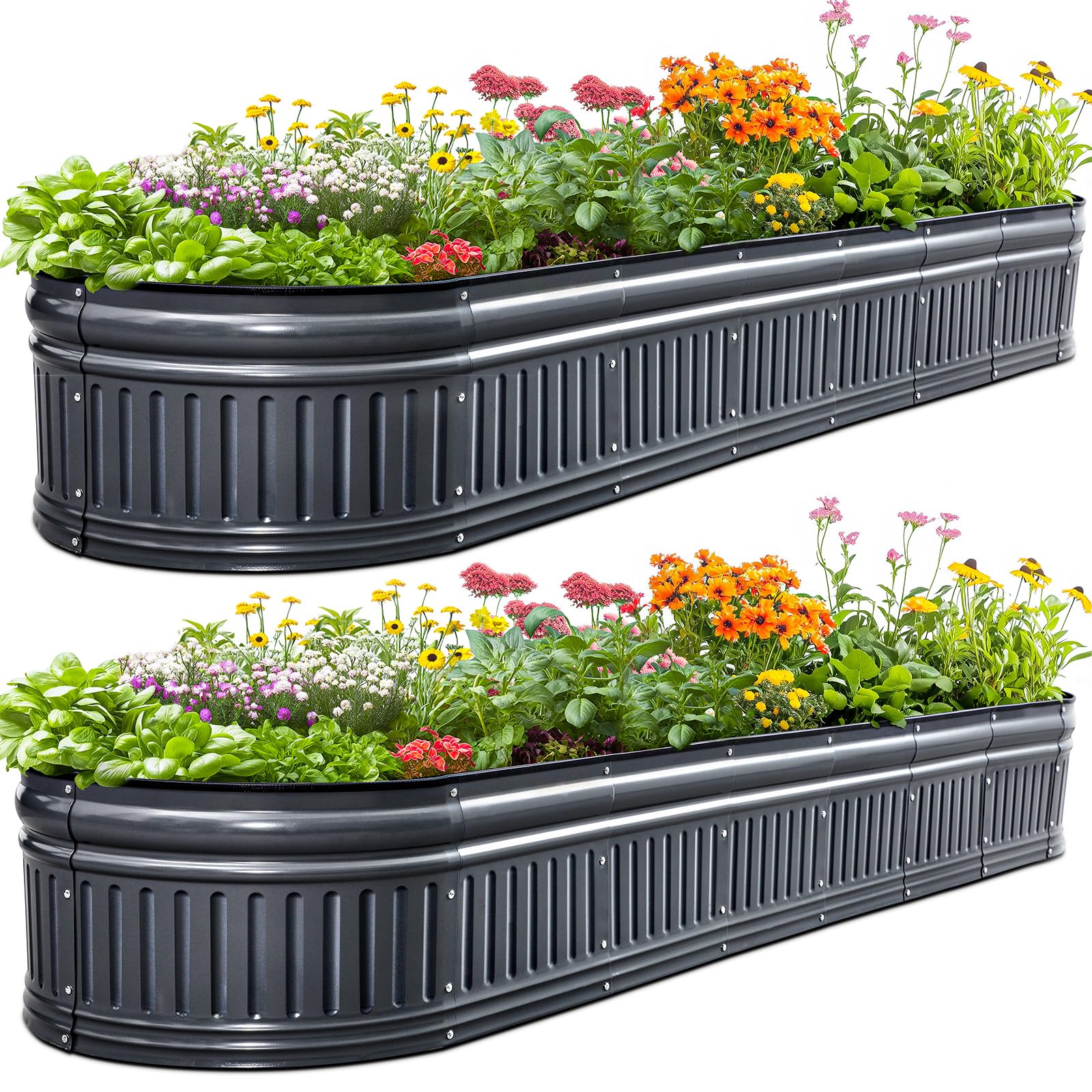 KING BIRD Raised Garden Bed Kit 2025 Upgraded