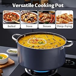 BEZIA 10 Quart Cooking Pot, Large Non Stick