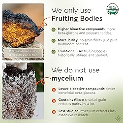 Longevity Botanicals Organic Chaga Mushroom Extract