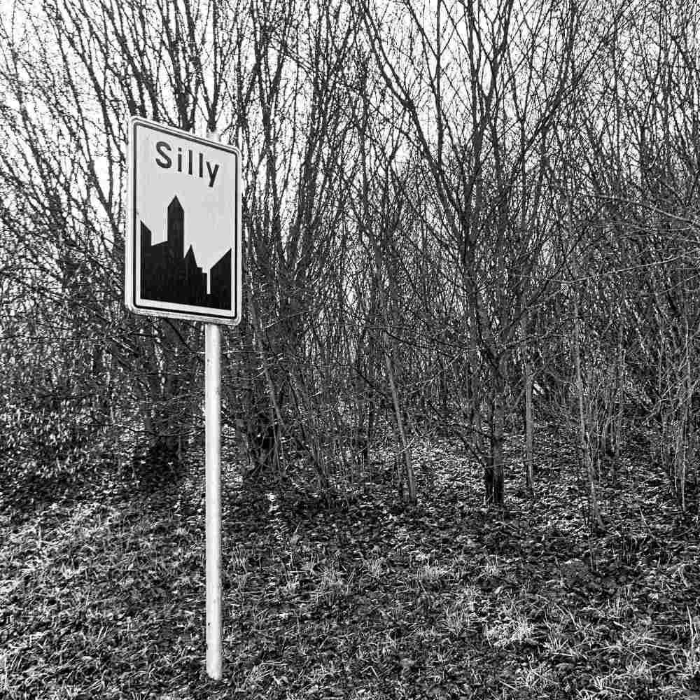 Lesser Spotted Britain Silly Art Print
