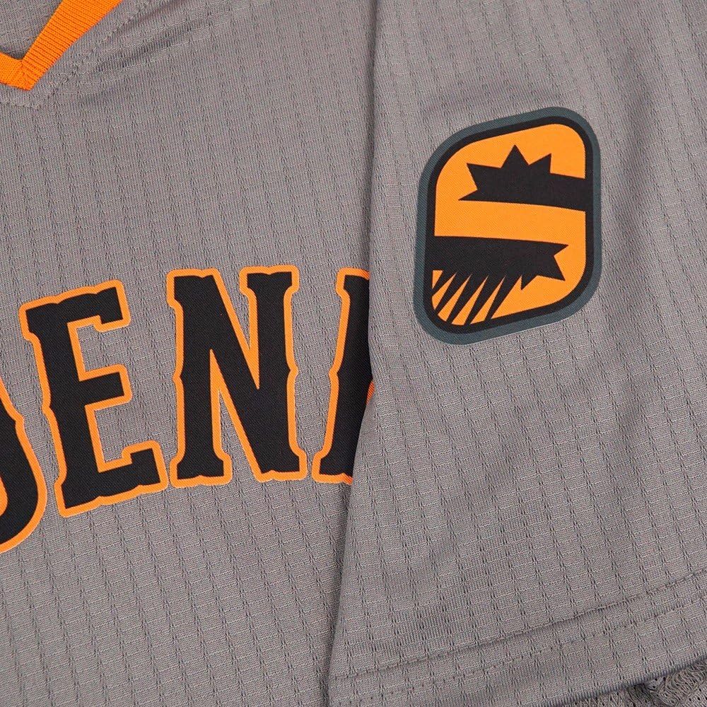phoenix suns grey jersey