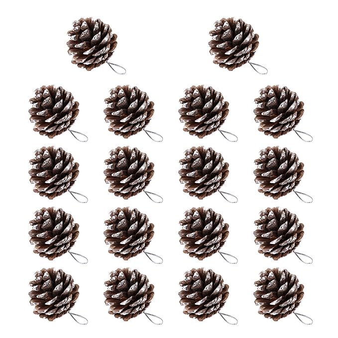 BBTO 18 Stücke 1,57 Zoll Weihnachten Tannenzapfen Schnee Tipped Natürliche Tannenzapfen mit String für Weihnachtsbaum Dekoration