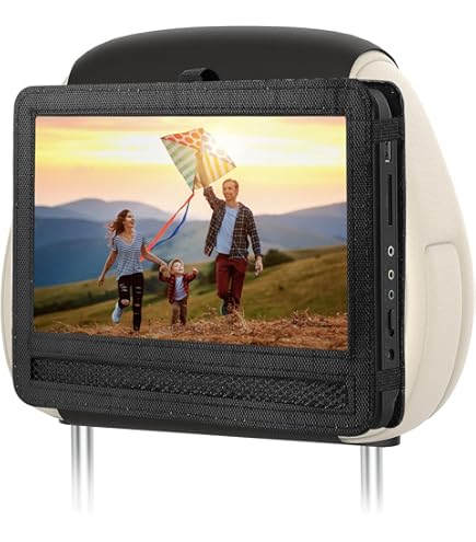 Amazon.com: Digital Innovations SecureMount Headrest DVD