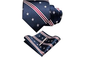 RBOCOTT Silk Stripe Plaid Tie and Pocket Square with Tie Clip Sets for Men