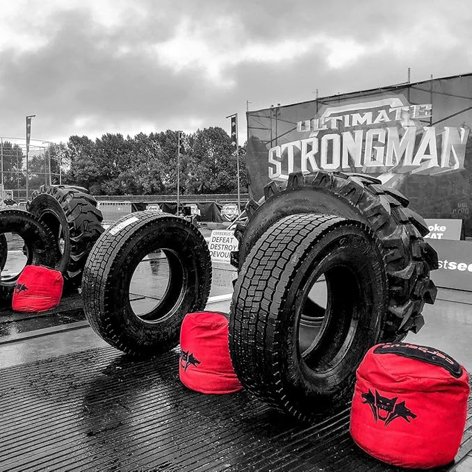 cerberus strongman sandbag