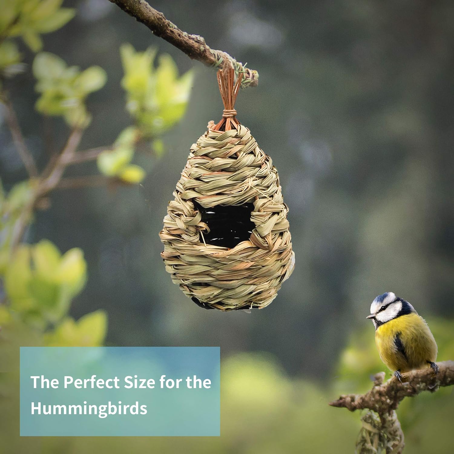 Gute Humming Bird Houses for Outside Hanging, Natural Grass Hanging Bird Hut, Hand Woven Hummingbird Nest, Large Wren Finch Bird House for Garden Window Outdoor Home Decoration, 3 Pack : Garden & Outdoor