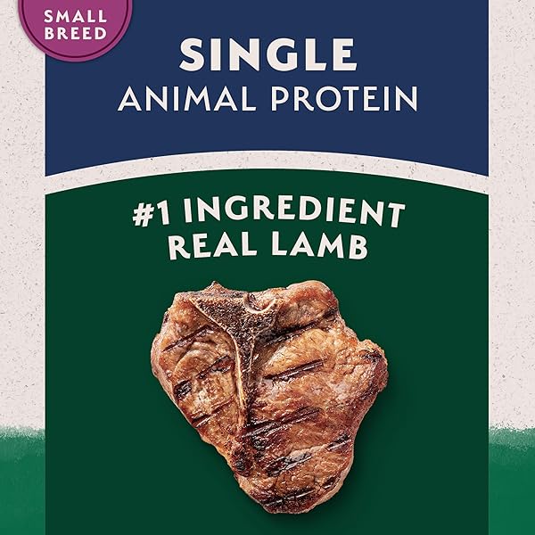 NATURAL BALANCE LIMITED INGREDIENT SMALL-BREED ADULT DRY DOG FOOD WITH HEALTHY GRAINS, LAMB & BROWN RICE RECIPE, 4 POUND (PACK OF 1)