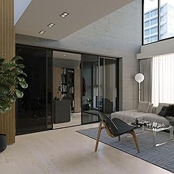 Doors 55 Glass Room Divider Panel and Partition