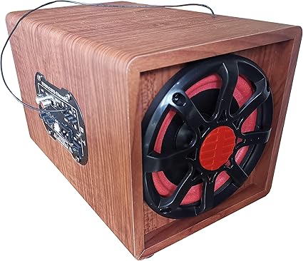 5 inch subwoofer amazon