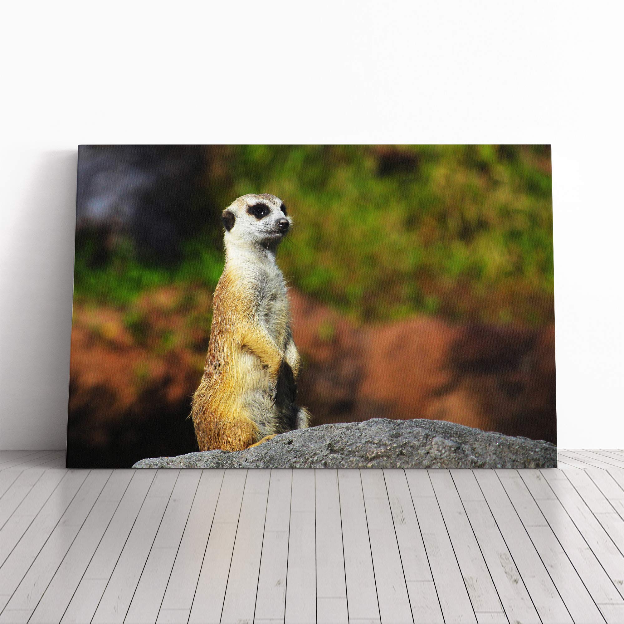 Meerkat Vol.4 Canvas Print | Gallery Wrapped 30mm Frame Wall Art | 20x14 inches | Ready to Hang | Modern Picture | Living Room Bedroom Lounge Office