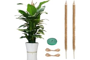 SUNNYDONGZE Bendable Moss Pole for Plants Monstera,Moss Pole,Tall Moss Poles for Climbing Plants Indoor,Large Moss Pole,Garden Trellis Plant Stick Stakes for Potted Plants,Pothos Support (2 × 48 Inch)