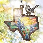 FLAGWIX Texas Gifts for Women Men - Double Layered Suncatcher Hanging Decorations 6 in - Christmas Decorations Indoor, Texas Sun Catchers for Home Decor, Mockingbird Bluebonnet Suncatchers