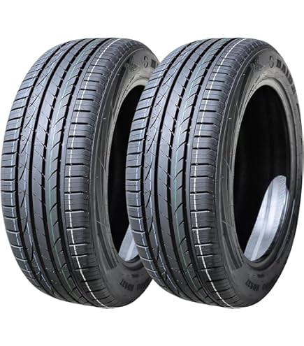 225/55R19 ZETA Antarctica Sport MS 103 T XL Winter Tire (Rim not