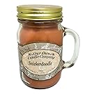Snickerdoodle Scented 13 oz Mason Jar Candle - Made in the USA by Our Own Candle Company