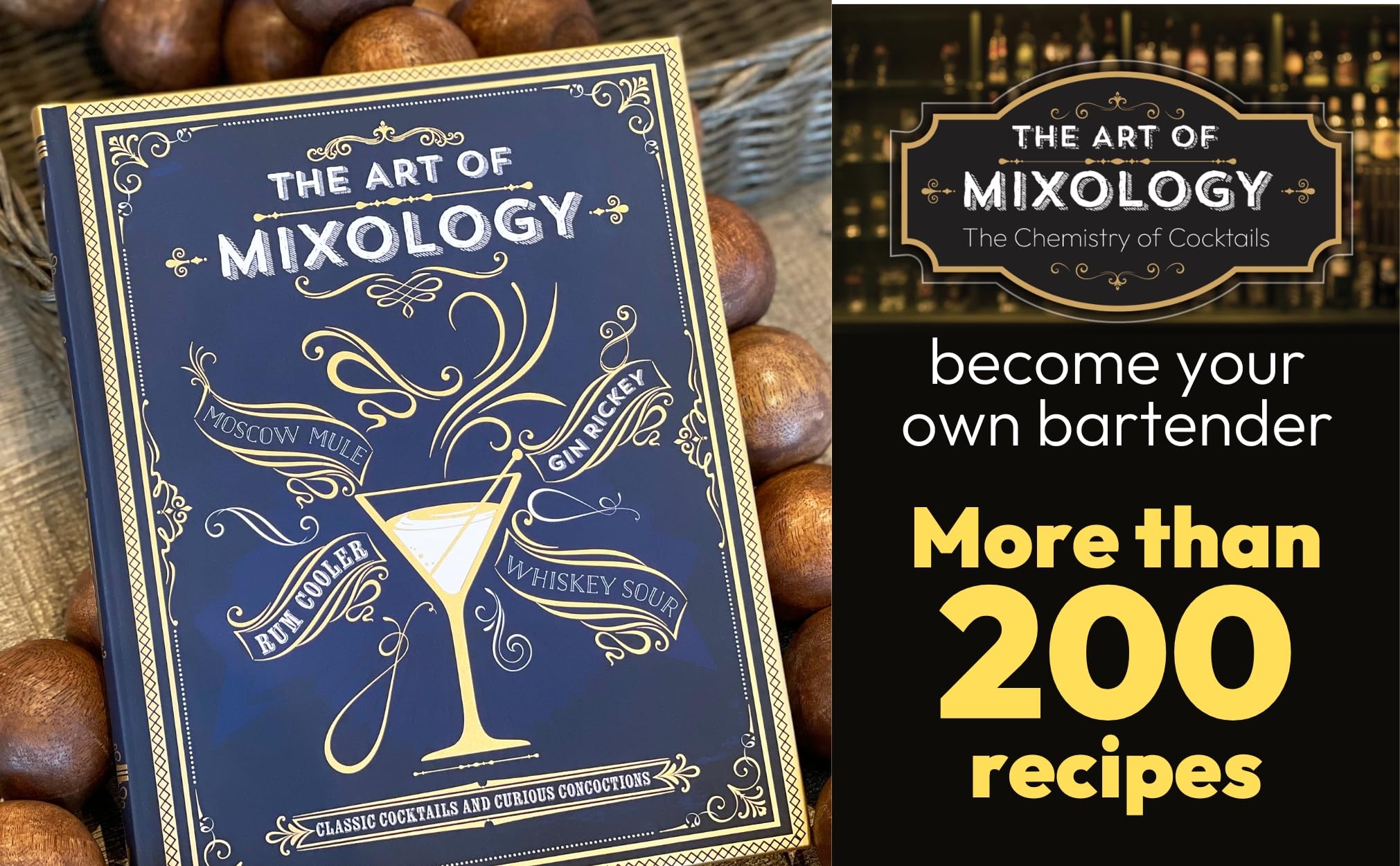 The Art of Mixology: Classic Cocktails and Curious Concoctions The Art of Mixology: Classic Cocktails and Curious Concoctions Hardcover