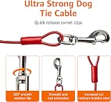 Amazon Basics Dog Tie Out Cable Up to 125 lbs 230 ft Red view 2